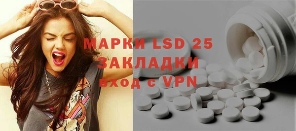 ПСИЛОЦИБИНОВЫЕ ГРИБЫ Менделеевск