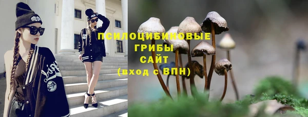 эйфоретик Осинники