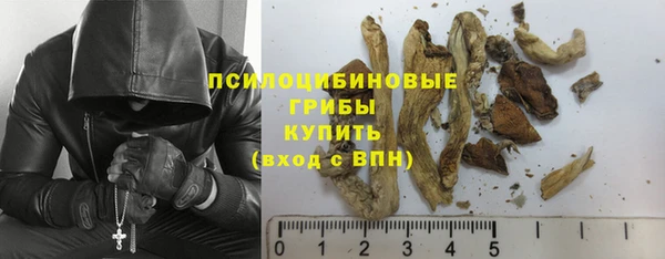 МДПВ Остров