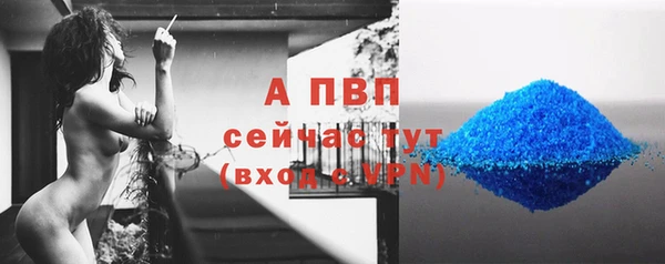 ПСИЛОЦИБИНОВЫЕ ГРИБЫ Менделеевск