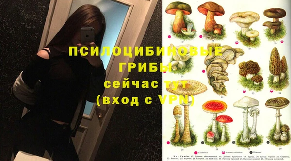 ECSTASY Абаза