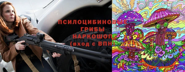 эйфоретик Осинники